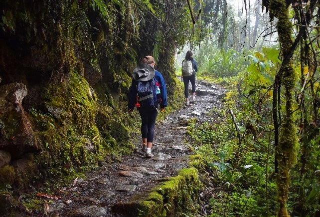 Explore the Path of the Inca