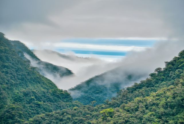 From Andes to the Amazon